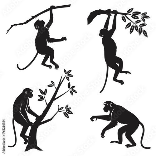 Four Black Monkey Silhouettes on White Background animal
