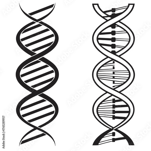 Two black and white D N A double helix illustrations side by side