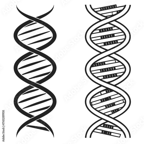 Two black and white D N A double helix strand illustrations