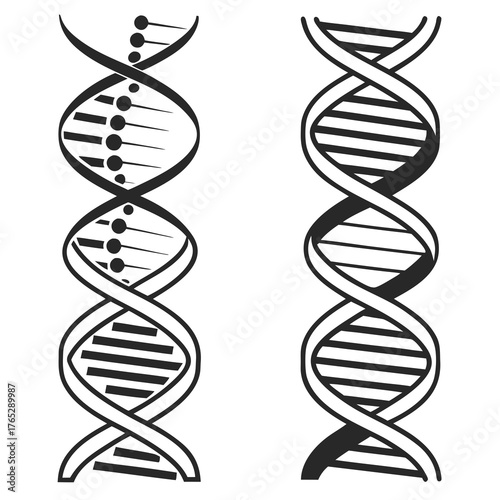 Two black and white D N A double helix structures science