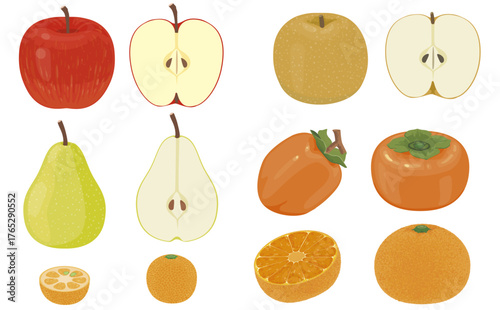 果物イラスト （りんご、梨、柿、みかん）