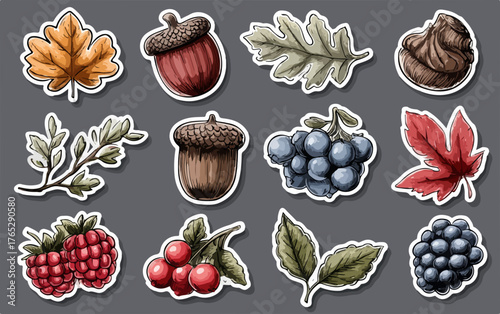 가을의 분위기를 담은 다채로운 나뭇잎, 열매, 베리류 벡터 일러스트레이션으로, 자연의 아름다움을 생생하게 표현했습니다.