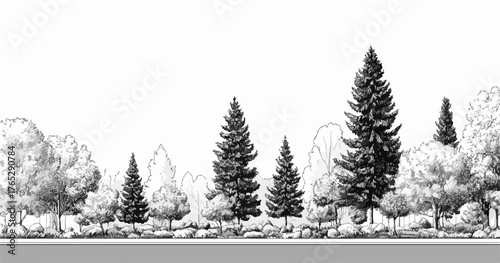 다양한 종류의 나무들이 흑백으로 아름답게 그려진 벡터 일러스트레이션으로, 자연의 고요함과 평화로움을 전달합니다.