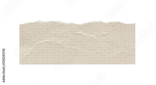 Torn sheet of graph paper isolated PNG with Transparent Background