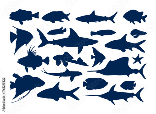 collection of various fish silhouettes showing different marine species shapes