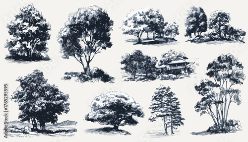 Collection of diverse hand-drawn trees and foliage elements in a sketch art style.