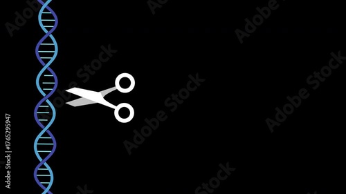 CRISPR Gene Editing Animation. Looping Icon of Scissors Cutting a DNA Strand for Genetic Engineering