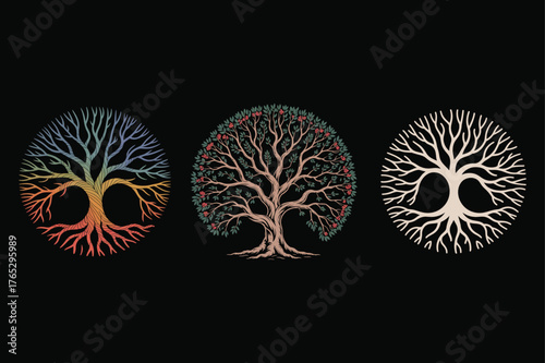 Three Circular Tree of Life Illustrations in Different Styles circle