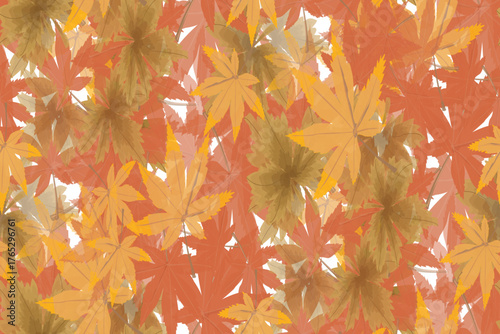 Seamless pattern of colorful maple leaves autumn foliage background for textile design vector illustration