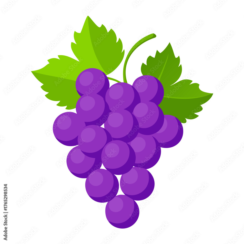 Fototapeta premium Purple Grapes with Leaf Vector