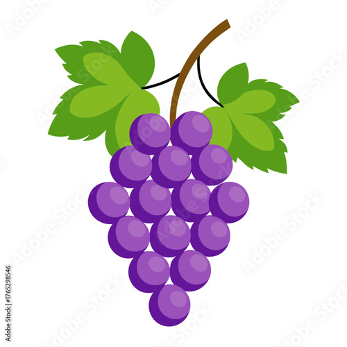 Hanging Grapes Vector