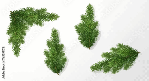 A collection of realistic green fir tree branches in various shapes, isolated on a transparent background.