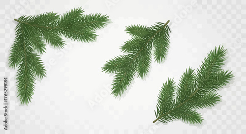 A set of realistic green fir tree branches, including a corner element, isolated on a transparent background.