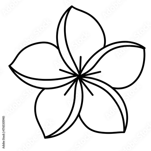cute flower, hand drawn vector illustration 