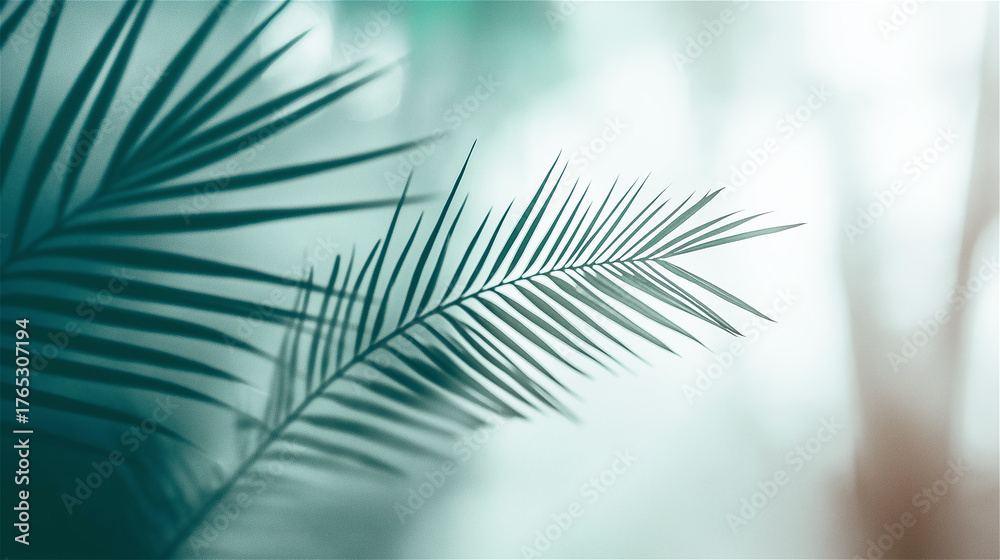 Fototapeta premium Green palm leaf silhouette against blurred light background with copy space. Tropical plant detail creating minimalist botanical design element with soft focus effect.