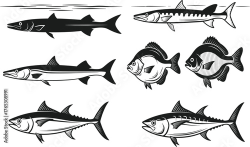 Set of Vintage Engraving Fish Illustrations, Black and White Marine Wildlife Vector Art, Fishing and Seafood Graphic Collection.
