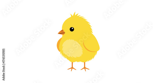 Cute yellow baby chick standing on a white background.