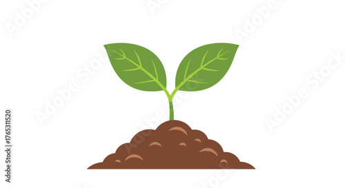 Young green sprout growing from fertile soil, symbolizing new life and growth.
