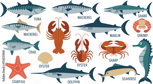 Flat Illustration of Various Sea Animals Tuna, Mackerel, Shark, Lobster, Dolphin, and More