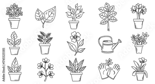 Collection of hand-drawn outline illustrations featuring a variety of garden plants, blooming flowers, and essential gardening items like a watering can and gloves for botanical designs