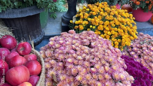 Basket with red apples and chrysanthemum flowers.