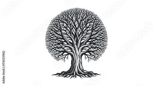 Intricate Black Silhouette of a Tree of Life nature