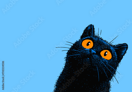 Curious black cat with staring eyes on vibrant colorful background in pop art style