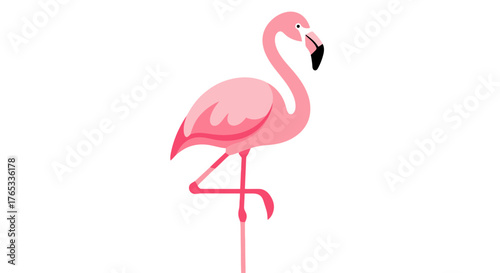 A fresh green avocado cut in half with the seed visible. A simple vector illustration for a healthy diet and vegetarian food concepts