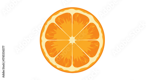 A fresh green avocado cut in half with the seed visible. A simple vector illustration for a healthy diet and vegetarian food concepts