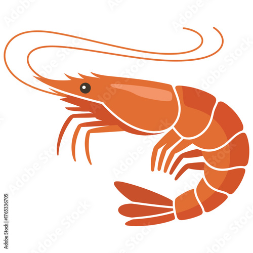 shrimp on white background