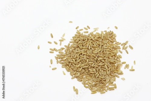 Photos Whole oat groats white background