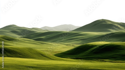 Emerald Meadows: Green Grass Hills on White Background