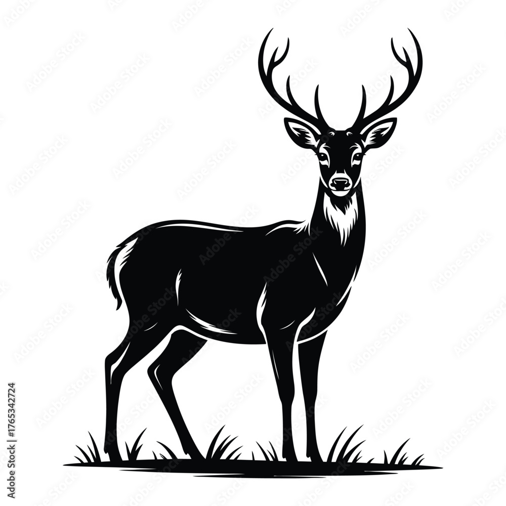 Fototapeta premium silhouette of a deer