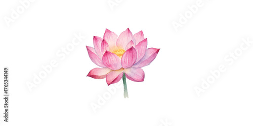 Print  Watercolor style lotus flower illustration