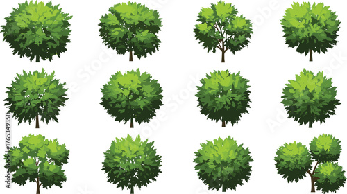 Collection of green trees top and side view, landscape nature plant design, environment foliage set, CAD drawing flat vector illustration.