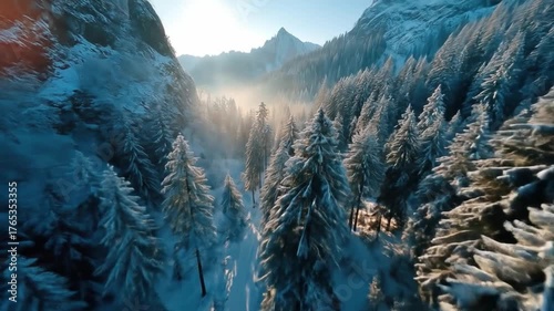 Snow covered forest and mountain range during daylight hours