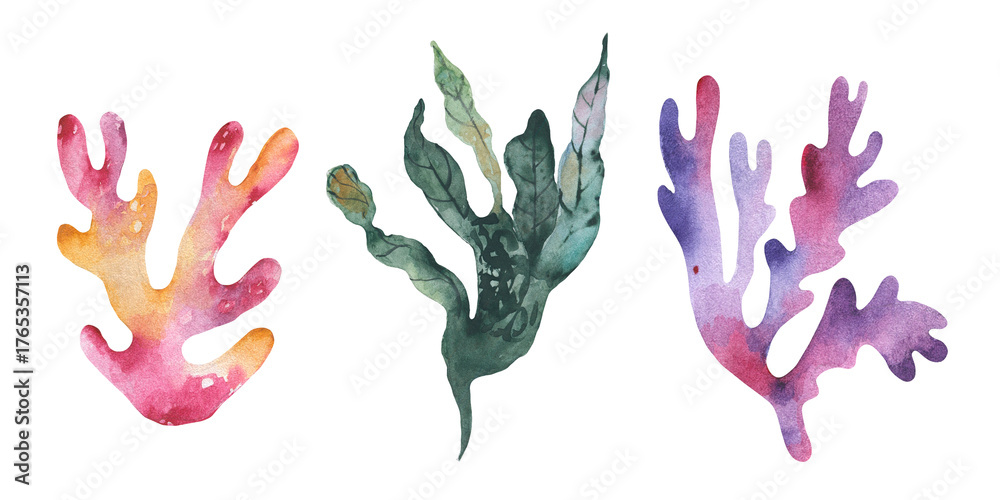 Fototapeta premium Coral and seaweed watercolor set