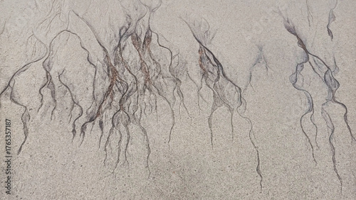 Abstract cracks and lines on sand top view, cracked sandy texture, creative art background, grunge pattern, aged surface, dry arid ground, erosion landscape, rough relief, marble effect, tree branches