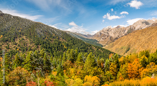 Autumn forest with snow capped mountain photography , Huanglong Valley in Sichuan Province, China.
