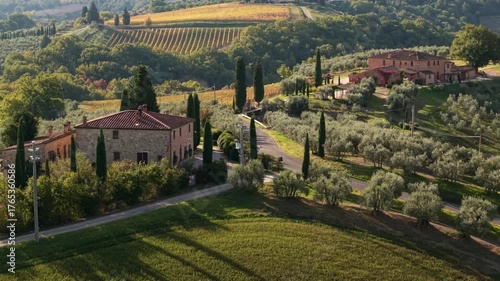  Idyllic tuscan countryside. colorful autumn vineyards fields and cypresses. Tuscany scenic landscape , Italy, Chianti region