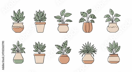 Collection of Minimalist Potted Plants Illustration