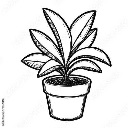 Houseplant with drooping leaves in sketch style, symbolizing neglect