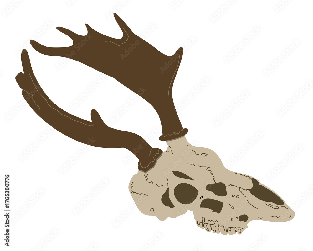 Fototapeta premium Minimalist illustration of a deer skull with dark brown antlers on a white background, symbolizing wilderness, nature, and&nbsp;rustic&nbsp;design