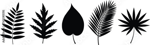 Leaf silhouette set, botanical shapes, black and white, plant illustration, nature design, foliage icons, diverse leaves, isolated vector, minimal style, educational use