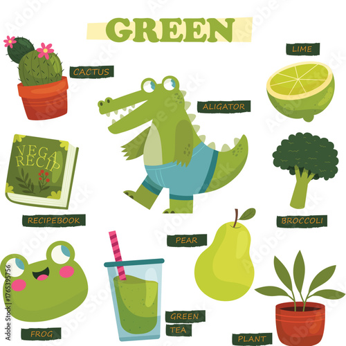 Colors and vocabulary set in english