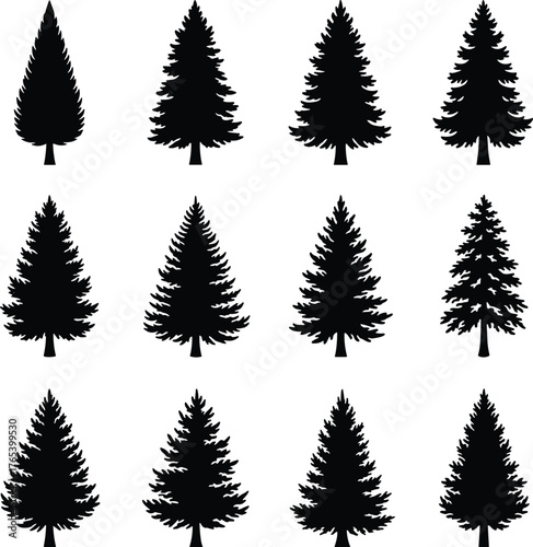 Conifer tree silhouette grid, evergreen species icon set, black vector forest shapes, botanical variation pack, stylized pine graphics, nature design elements, foliage illustration