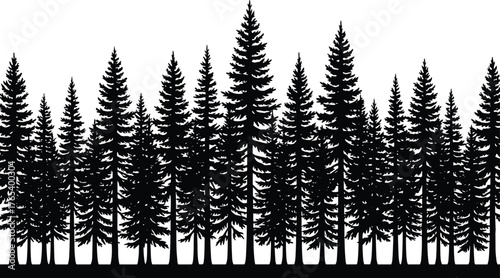 Dense forest silhouette, conifer tree line, black vector pine trees, evergreen nature graphic, stylized woodland design, symmetrical tree pattern, forest edge illustration