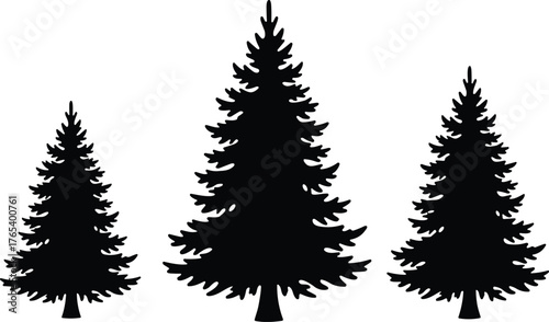 Evergreen tree silhouettes, pine forest trio, black vector trees, conical tree shapes, nature graphic design, layered branch illustration, symmetrical tree icons, isolated tree set
