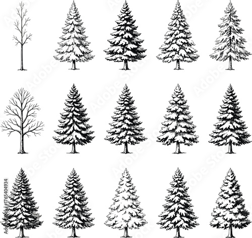 Tree silhouette grid set, snowy pine and bare deciduous trees, black and white vector illustration, winter forest design, nature classification graphic art