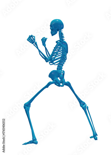 3d rendered illustration of a skeleton